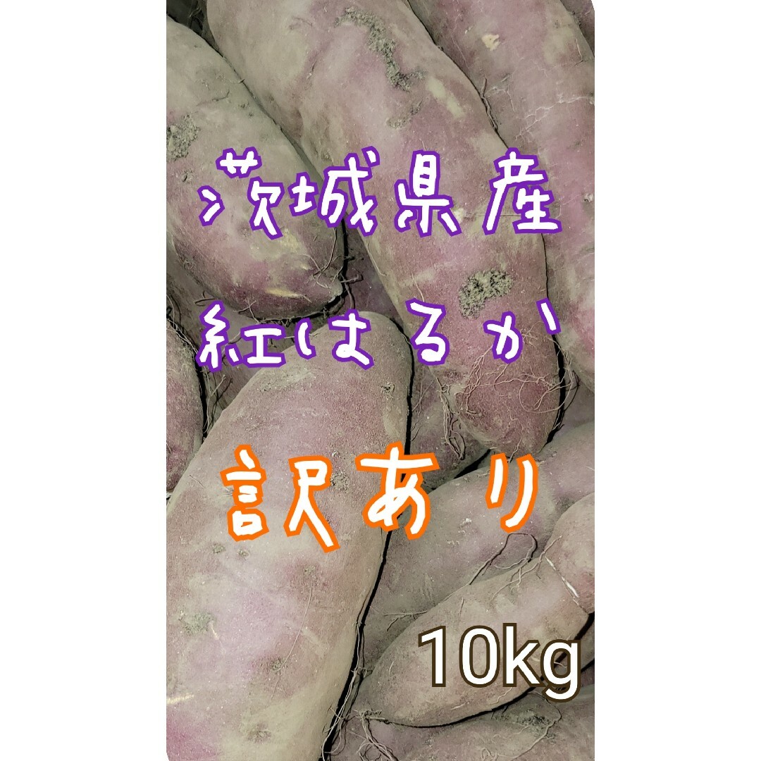 訳あり　紅はるか　10キロ　茨城県産　栽培中農薬不使用 食品/飲料/酒の食品(野菜)の商品写真