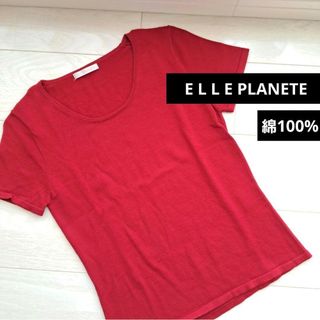 ELLE PLANETE - ELLEPLANET　半袖ニット　えんじ　赤　綿100%　Mサイズ