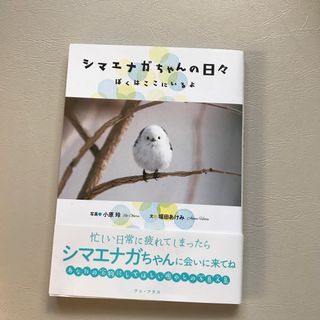 シマエナガちゃんの日々(文学/小説)