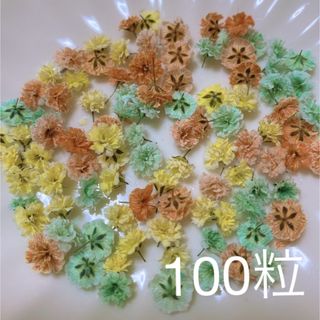 オレンジ×ミントグリーン系 かすみ草ドライフラワー100粒(ドライフラワー)