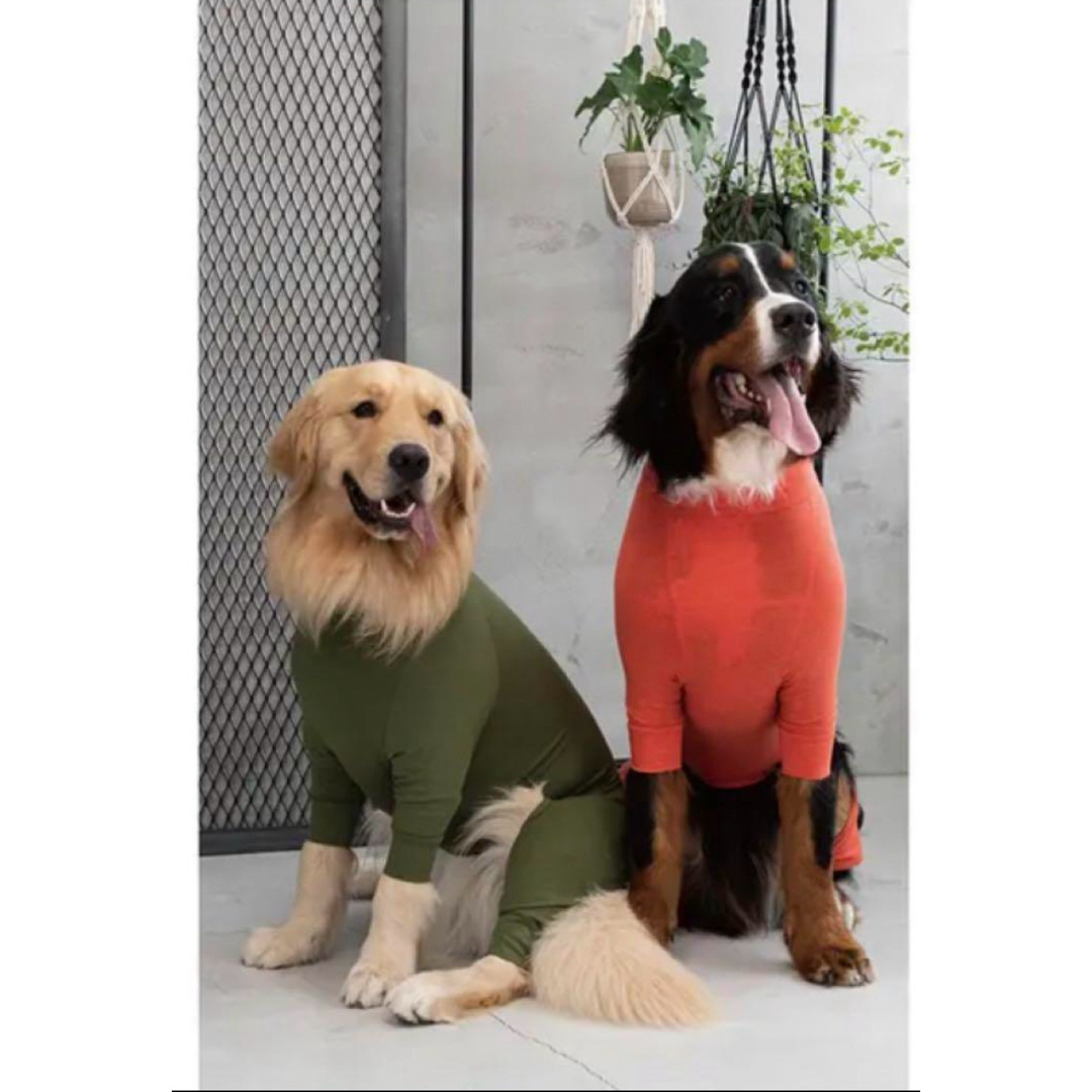 MANDARINE BROTHERS(マンダリンブラザーズ)のマンダリンブラザーズ  スキンタイトスーツ　犬用品　犬服　ペットグッズ その他のペット用品(犬)の商品写真