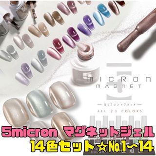 在庫セール!14本セット マグネットジェル ネイル5micron Magnet(カラージェル)