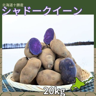 【20kg 】北海道産　じゃがいも　シャドークイーン(野菜)