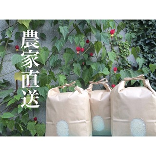 アキ様専用です😊ミルキークイーン玄米10kgの通販 by ♥kyan♥'s shop