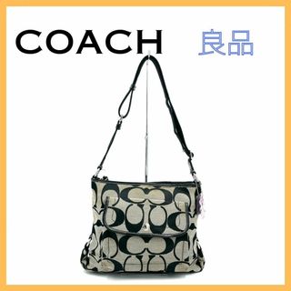 稀少　COACH コーチ　10260 ショルダーバッグ　シグネチャー　パイソンリンクのバッグ