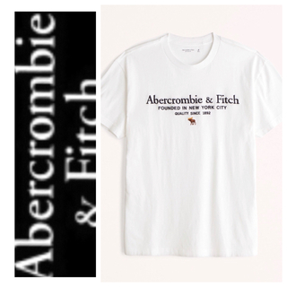 アバクロ(Abercrombie&Fitch) Tシャツ・カットソー(メンズ)の