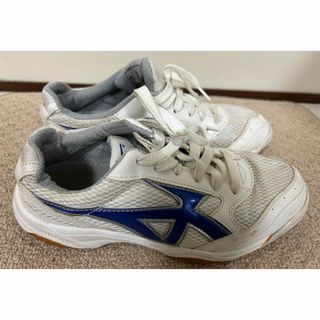 ミズノ(MIZUNO)のインドアシューズ　24cm  ミズノ(シューズ)