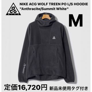 ナイキ(NIKE)の【完売品】NIKE ACG WOLF TREEN PO LIS HOODIE(その他)