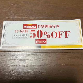 カラオケ　ビッグエコー　50%offチケット　特別優待券(その他)