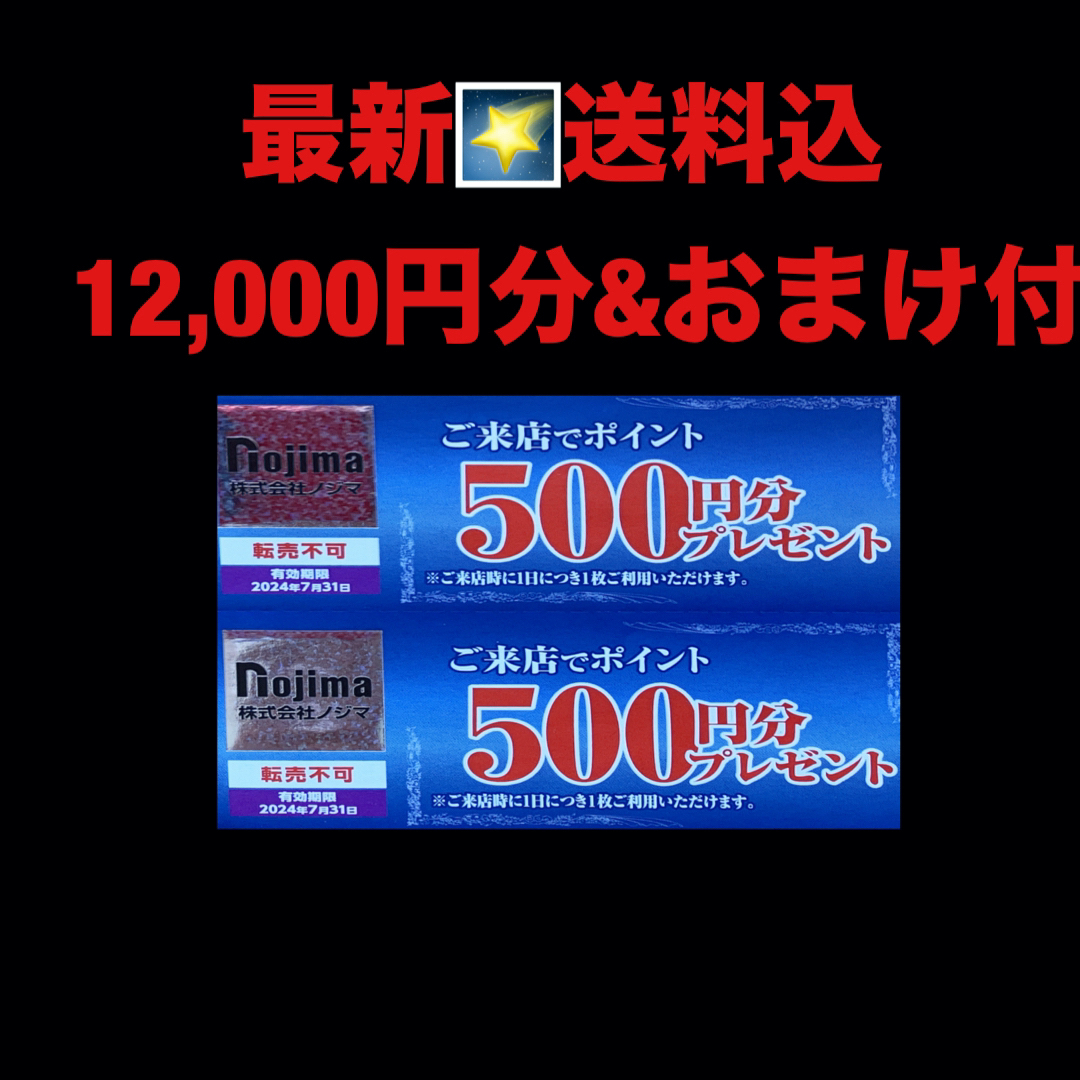 最新⭐️ノジマ 　12,000円分　来店ポイント　株主優待券　匿名配送 チケットの優待券/割引券(ショッピング)の商品写真