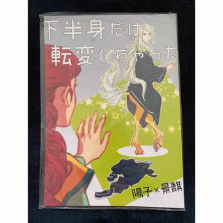 下半身だけ転変しちゃった（十二国記 同人誌）(その他)