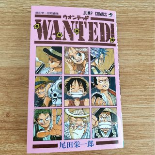 ワンピース(ONE PIECE)のＷａｎｔｅｄ！(その他)