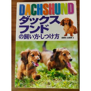 ダックスフンドの飼い方・しつけ方(その他)