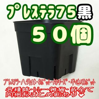 【スリット鉢】プレステラ75黒50個 多肉植物 プラ鉢(プランター)