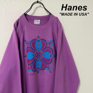 ヘインズ(Hanes)の【USA製】 ヘインズ/Hanes スウェット 紫 プリント サンバレー(スウェット)