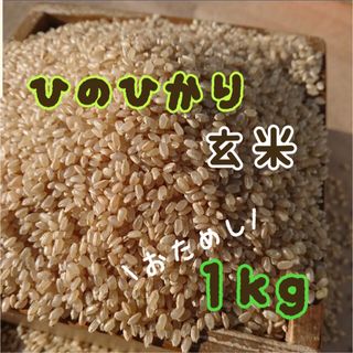 令和５年度収穫　兵庫県産　有機栽培　ひのひかり　玄米　１ｋｇ　農家直送(米/穀物)