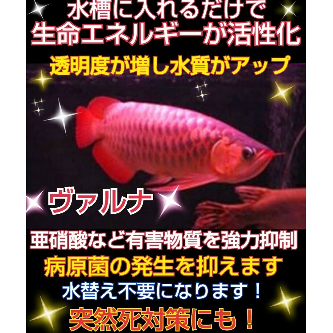 水槽の水が綺麗になります【ヴァルナミニ23㎝】水槽に入れるだけ! 水槽の水が綺麗になります【ヴァルナミニ23㎝】水槽に入れるだけ!