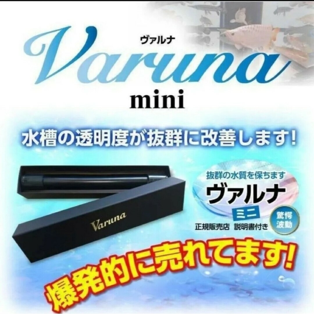 水槽の水が綺麗になります【ヴァルナミニ23㎝】水槽に入れるだけ 水槽の水が綺麗になります【ヴァルナミニ23㎝】水槽に入れるだけ