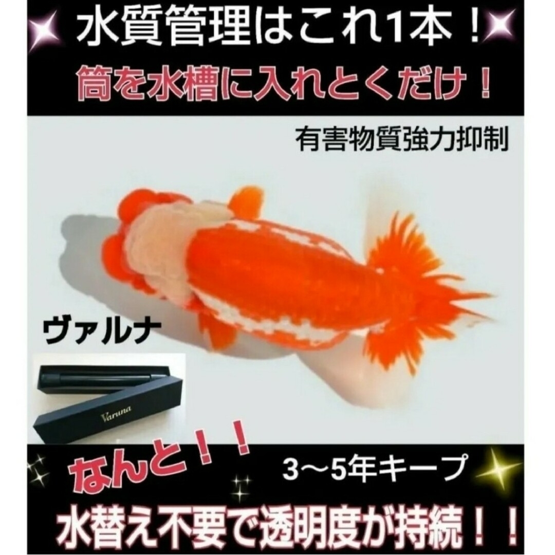 水槽の水が綺麗になります【ヴァルナミニ23㎝】水槽に入れるだけ 水槽の水が綺麗になります【ヴァルナミニ23㎝】水槽に入れるだけ