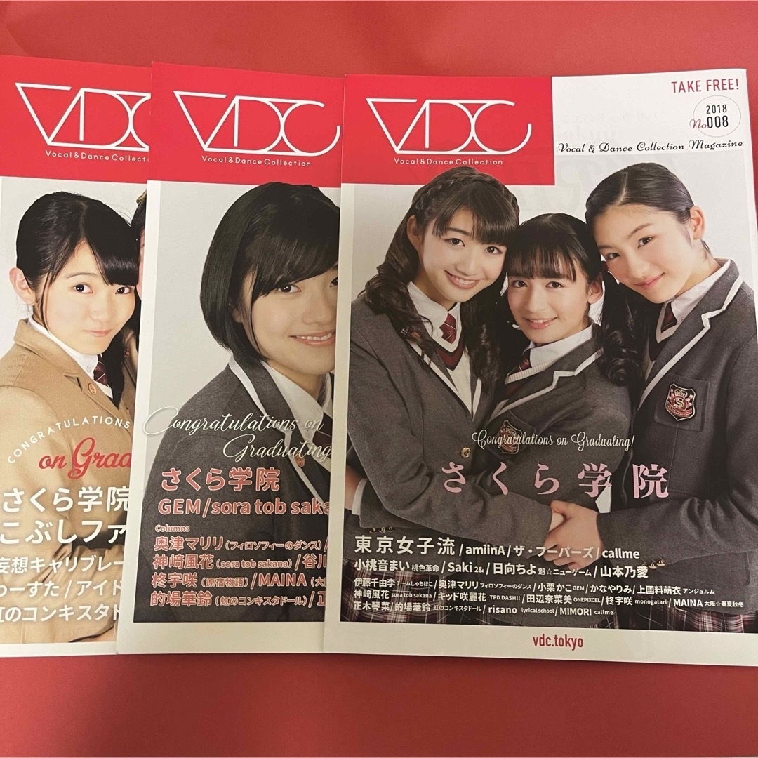さくら学院 VDC マガジン 3冊 エンタメ/ホビーのタレントグッズ(アイドルグッズ)の商品写真
