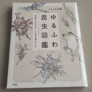 ゆるふわ昆虫図鑑　じゅえき太郎　虫　昆虫　イラスト(イラスト集/原画集)