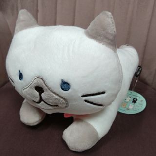 ふくふくにゃんこ ぬいぐるみ シャーシャ(ぬいぐるみ)