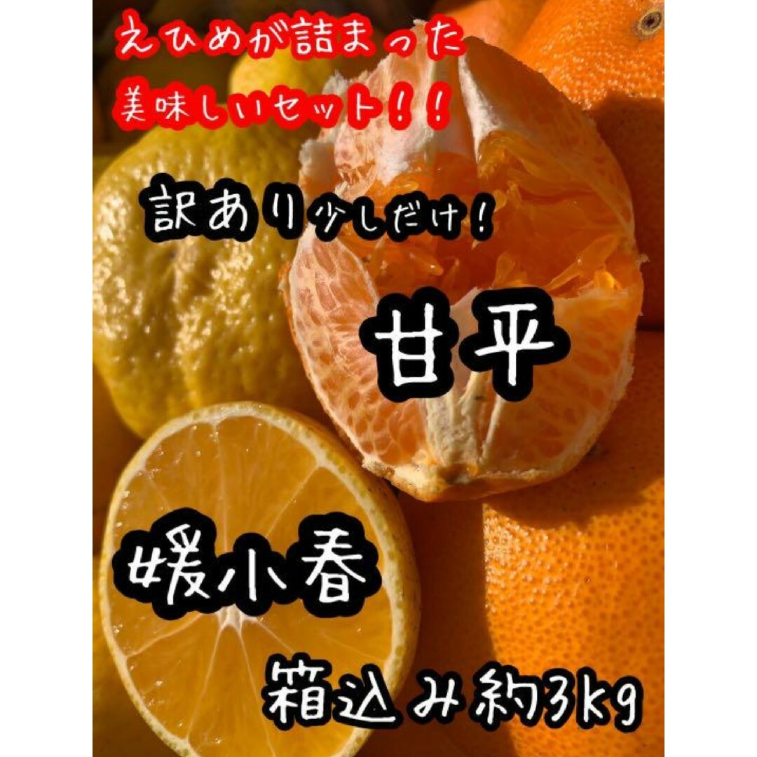 愛媛県産　媛小春　甘平セット　訳あり　混合箱込み約3Kg 柑橘　ミカン 食品/飲料/酒の食品(フルーツ)の商品写真