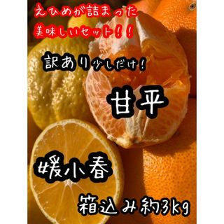 愛媛県産　媛小春　甘平セット　訳あり　混合箱込み約3Kg 柑橘　ミカン(フルーツ)