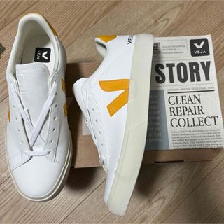 ヴェジャ(VEJA)の新品　VEJA ヴェジャ campo カンポ  スニーカー　42 27.5cm(スニーカー)