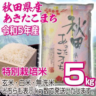 令和５年産 秋田県産 【特別栽培米】 あきたこまち５kg 無洗米も対応(米/穀物)