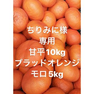 ちりみに様　専用　愛媛県　甘平　柑橘　 10kg(フルーツ)