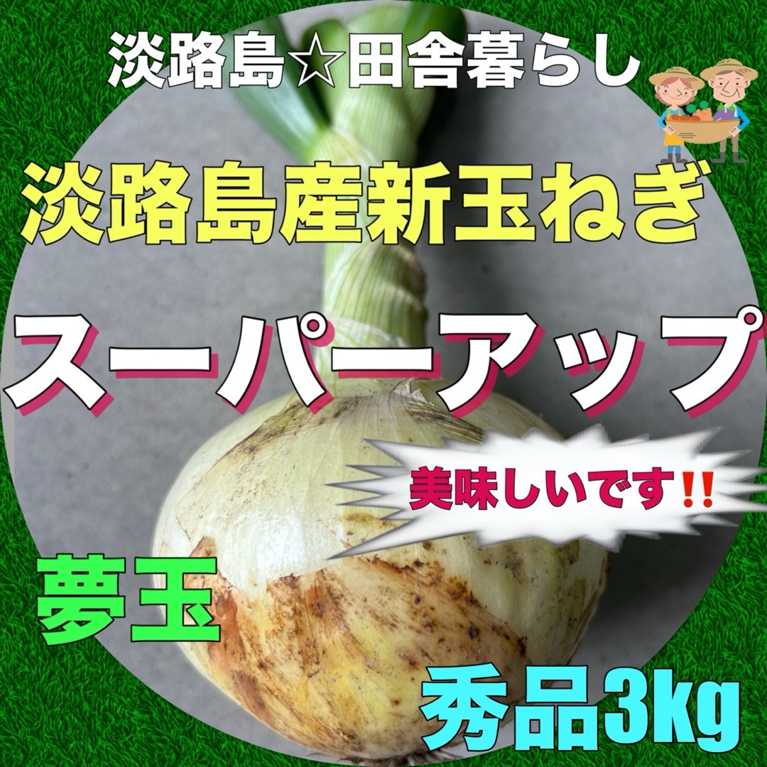 淡路島産新玉ねぎ 茎付き 3kg スーパーアップ 極早生 美味しい！夢玉 食品/飲料/酒の食品(野菜)の商品写真