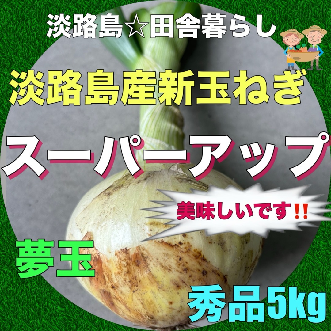 淡路島産新玉ねぎ 茎付き 5kg スーパーアップ 極早生 美味しい！夢玉 食品/飲料/酒の食品(野菜)の商品写真