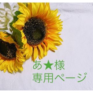 専用ページです☆(外出用品)