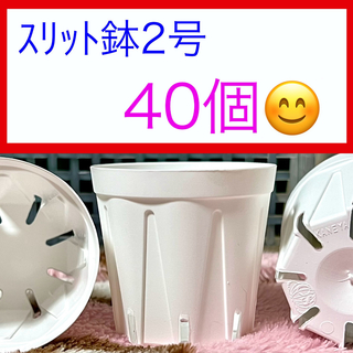 H③  スリット鉢【2号】40個　ﾎﾜｲﾄ(プランター)