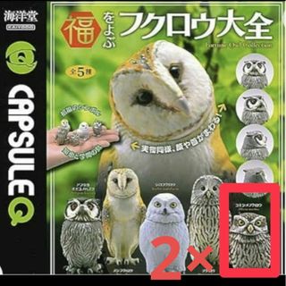 福をよぶ　フクロウ大全　コキンメフクロウ　計2つ