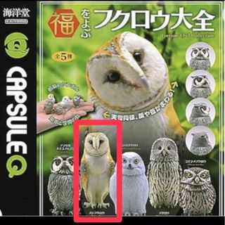 カイヨウドウ(海洋堂)の福をよぶ　フクロウ大全　メンフクロウ(置物)