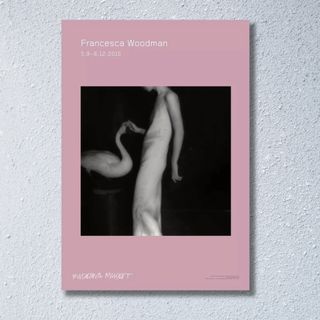 国内未入荷 フランチェスカウッドマン Francesca Woodmanポスター(その他)