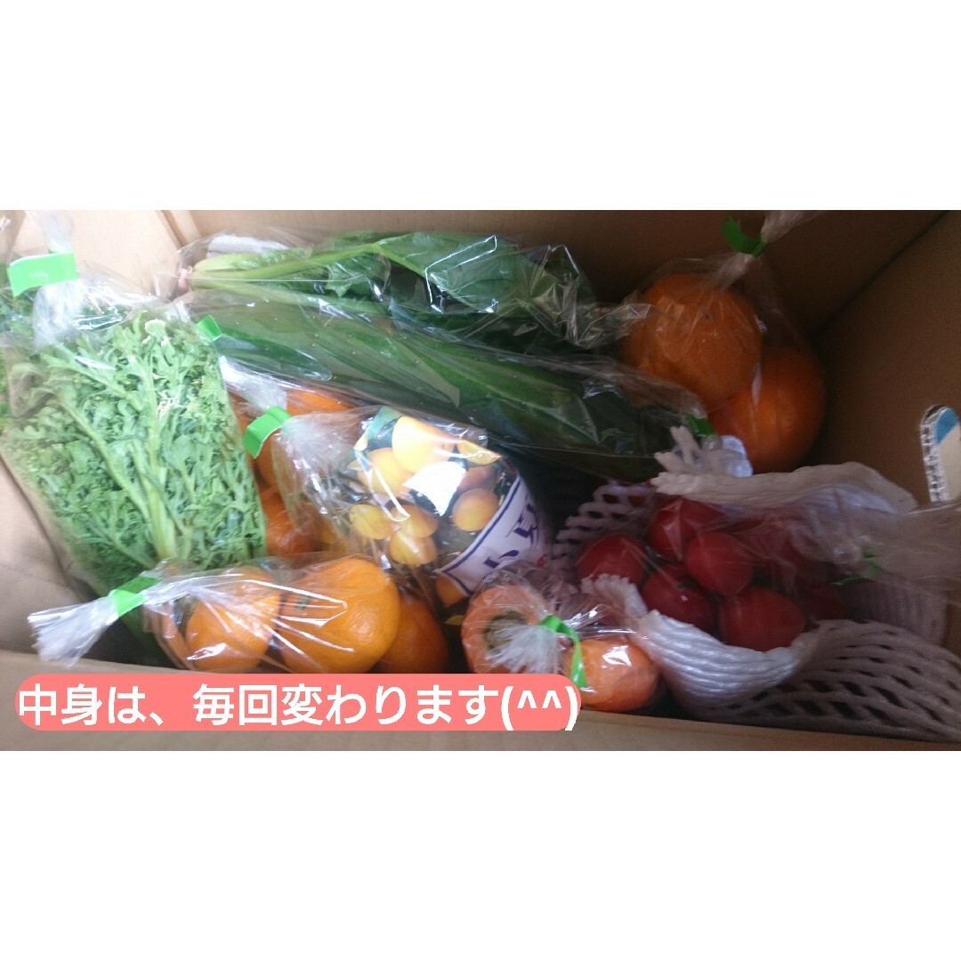 野菜・果物セット(^^) 送料無料  約2,0k～少し訳あり 食品/飲料/酒の食品(野菜)の商品写真