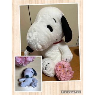 スヌーピー(SNOOPY)のスヌーピー 超特大ぬいぐるみ BIGぬいぐるみ・マスコットぬいぐるみ 2種セット(キャラクターグッズ)