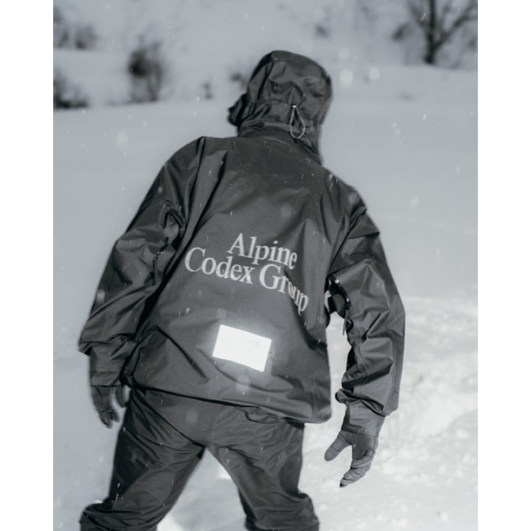 ARC'TERYX - Alpine Codex Group GORE TEX 3L Jacket L黒の通販 by ...