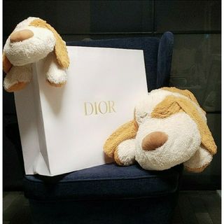 ディオール(Dior)の新品未使用 Dior ショップバッグ紙袋 特大サイズ ５枚セット(ショップ袋)