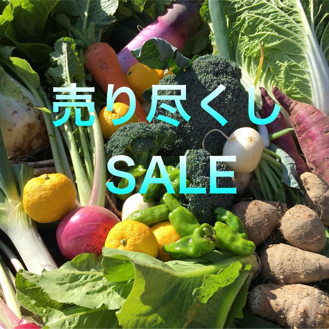 売り尽くしSALE  採れたて新鮮野菜　80サイズ  食品/飲料/酒の食品(野菜)の商品写真