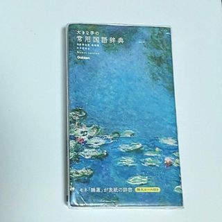 ガッケン(学研)の大きな字の常用国語辞典　美装版モネバージョン(語学/参考書)