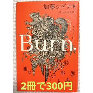 Ｂｕｒｎ．(文学/小説)