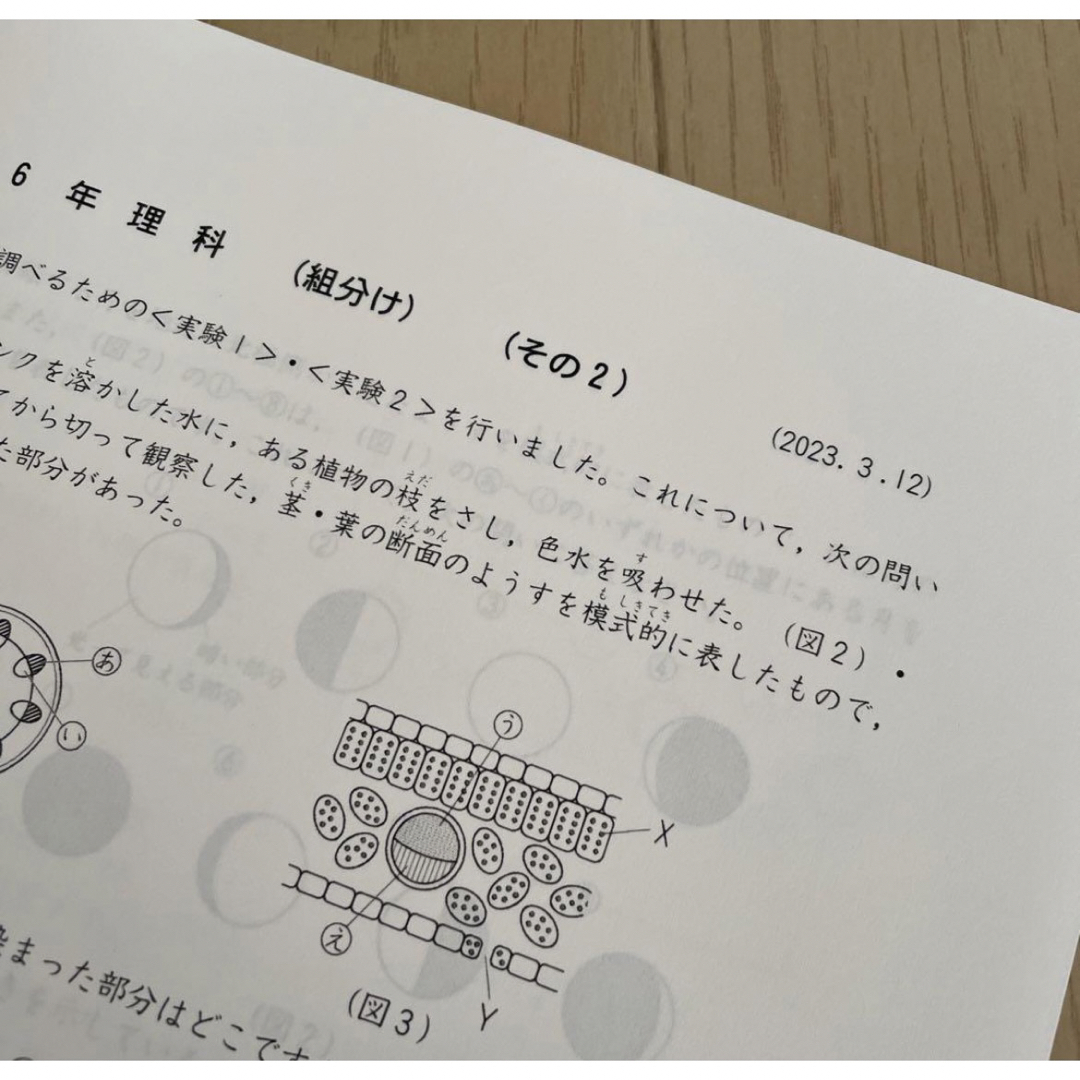 四谷大塚小6組分けテスト6年生1回—3回 その他のその他(その他)の商品写真