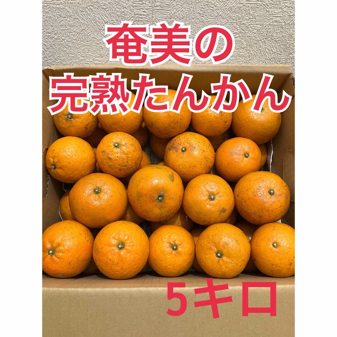 【世界遺産の島より】奄美大島産　無農薬栽培　完熟たんかん　2/1より順次発送