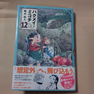 ハルタ(HARUTA)の美品 ハクメイとミコチ 12巻(青年漫画)