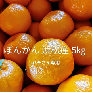 ぽんかん 浜松産 5kg御自宅用 ハチさん専用(フルーツ)