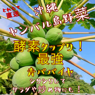 特価！沖縄産青パパイヤおまかせ2.2kg以上！サラダや炒め物にも！(野菜)